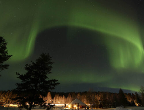 Doro Camp Lapland