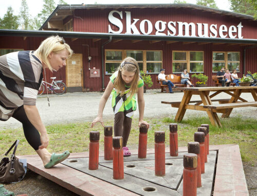 Skogs- och samemuseet i Lycksele