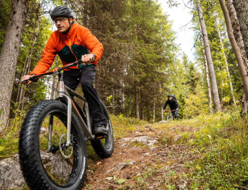 Lapland Stuga & Tours