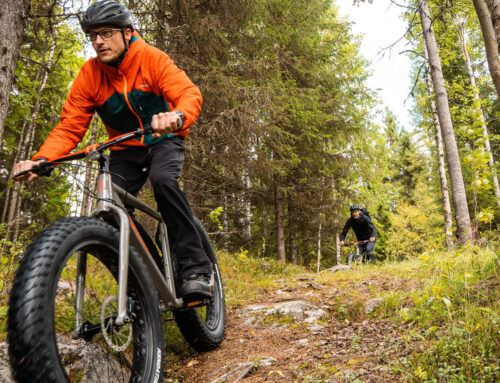 Lapland Stuga & Tours