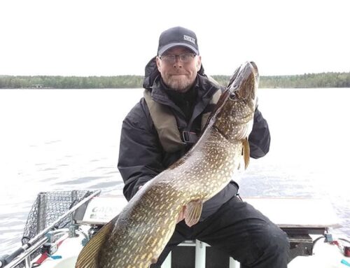 Norsjö Big Pike